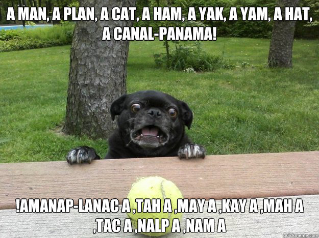 A man, a plan, a cat, a ham, a yak, a yam, a hat, a canal-Panama! !amanaP-lanac a ,tah a ,may a ,kay a ,mah a ,tac a ,nalp a ,nam A  Berks Dog