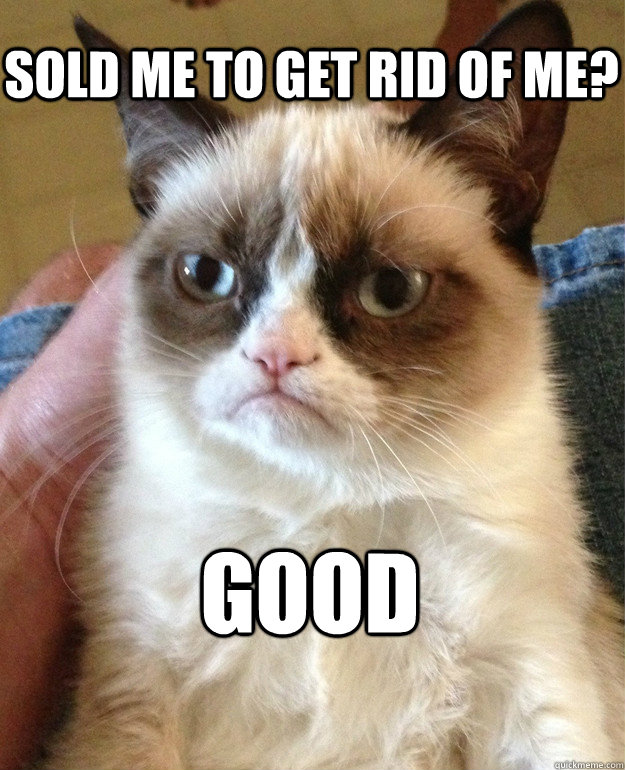 Sold me to get rid of me? Good  Grumpy Cat