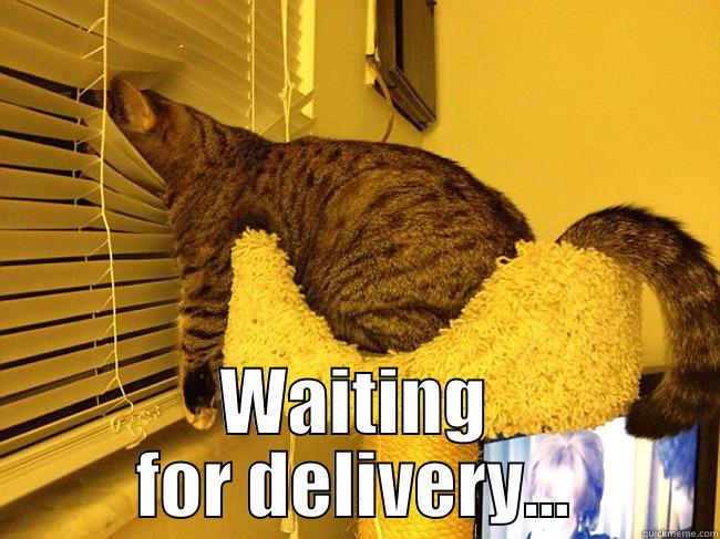  WAITING FOR DELIVERY... Misc