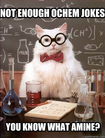 not enough ochem jokes you know what amine? - not enough ochem jokes you know what amine?  Chemistry Cat