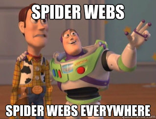 Spider webs Spider webs everywhere - Spider webs Spider webs everywhere  Misc