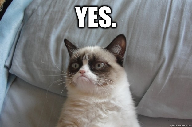 Yes.  GrumpyCatOL