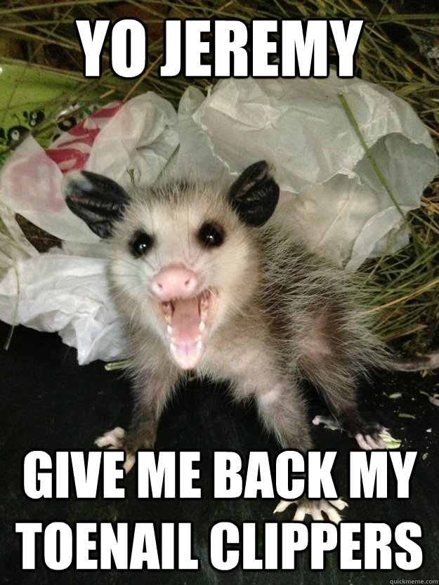Yo Jeremy Give me back my toenail clippers  Opossum