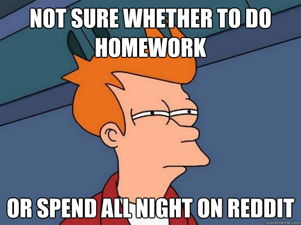 not sure whether to do homework or spend all night on reddit  Futurama Fry