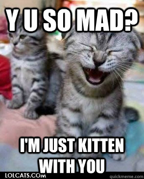 Y U SO MAD? I'M JUST KITTEN WITH YOU  