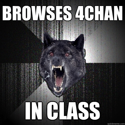 Browses 4chan In class  Insanity Wolf