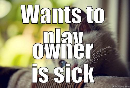 WANTS TO PLAY OWNER IS SICK First World Problems Cat