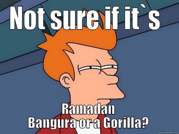 NOT SURE IF IT`S  RAMADAN BANGURA OR A GORILLA? Futurama Fry