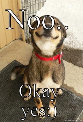 NOO.. OKAY YES:) Good Dog Greg
