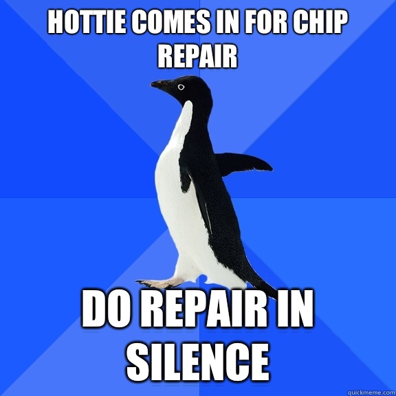 Hottie comes in for chip repair Do repair in silence  Socially Awkward Penguin