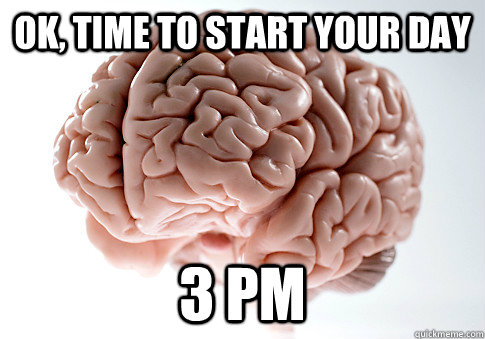 ok, time to start your day 3 pm  Scumbag Brain