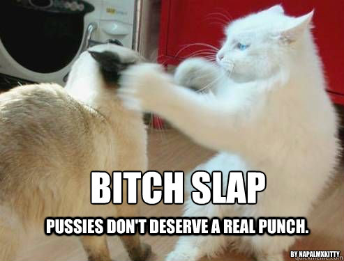 Bitch Slap Pussies don't deserve a real punch.  By NapalmxKitty  Bitch Slap Pussy