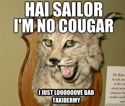 Hai Sailor I'm no Cougar I Just LOOOOOOVE Bad Taxidermy - Hai Sailor I'm no Cougar I Just LOOOOOOVE Bad Taxidermy  Flirty Bobcat