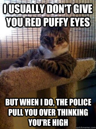 I usually don't give you red puffy eyes but when I do, the police pull you over thinking you're high  The Most Interesting Cat in the World