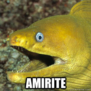  AMIRITE -  AMIRITE  Amirite Eel