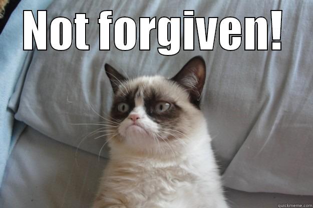 not forgiven - NOT FORGIVEN!  Grumpy Cat