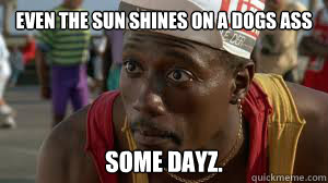 even the sun shines on a dogs ass some dayz. - even the sun shines on a dogs ass some dayz.  white men cant jump