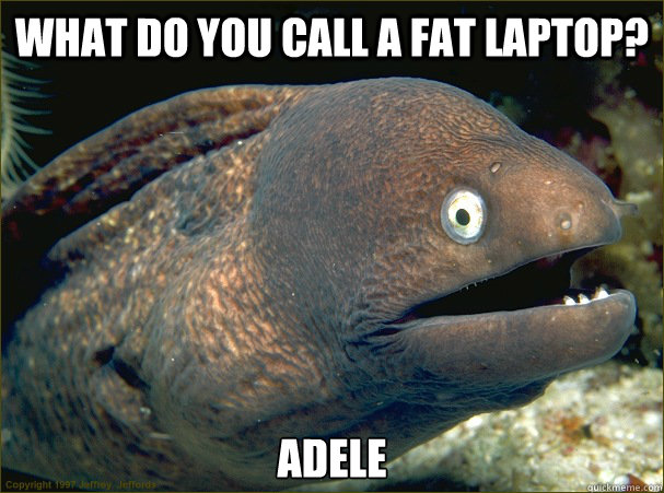 What do you call a fat laptop? Adele  Bad Joke Eel