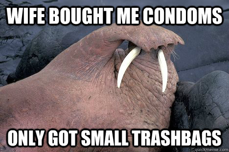 wife bought me condoms only got small trashbags - wife bought me condoms only got small trashbags  Upset Walrus