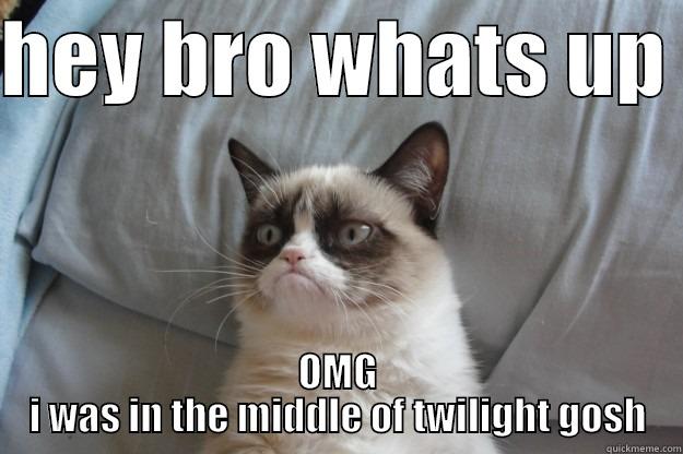 HEY BRO WHATS UP  OMG I WAS IN THE MIDDLE OF TWILIGHT GOSH Grumpy Cat
