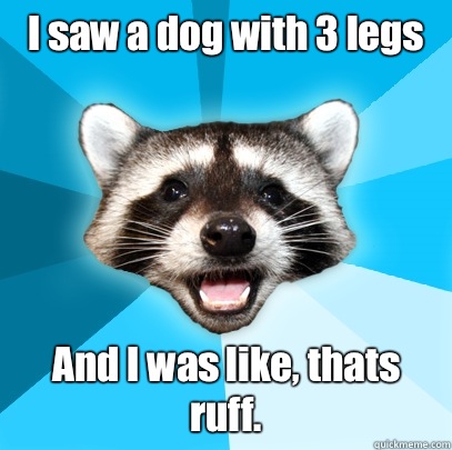 I saw a dog with 3 legs  And I was like, thats ruff.  Lame Pun Coon