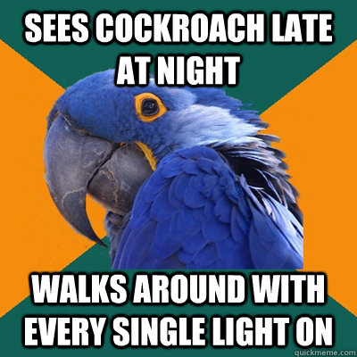 sees cockroach late at night walks around with every single light on - sees cockroach late at night walks around with every single light on  Paranoid Parrot