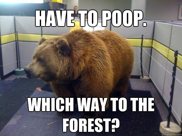 Have to poop. Which way to the forest?  Office Grizzly