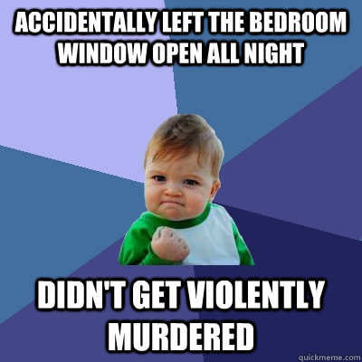 Accidentally left the bedroom window open all night Didn't get violently murdered - Accidentally left the bedroom window open all night Didn't get violently murdered  Success Kid