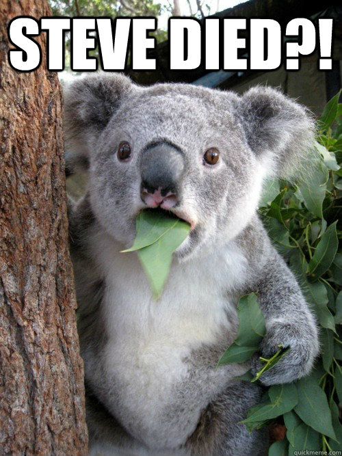STEVE DIED?!  - STEVE DIED?!   koala bear