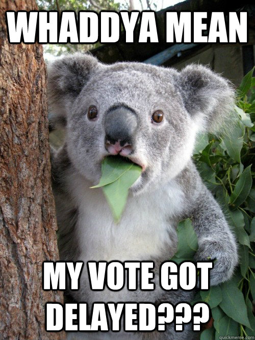 WHADDYA MEAN MY VOTE GOT DELAYED???  Koala
