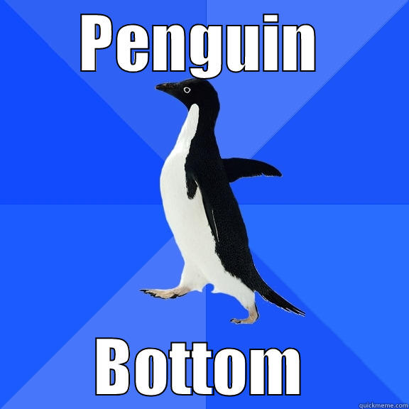PENGUIN BOTTOM Socially Awkward Penguin