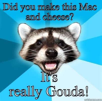 DID YOU MAKE THIS MAC AND CHEESE? IT'S REALLY GOUDA! Lame Pun Coon