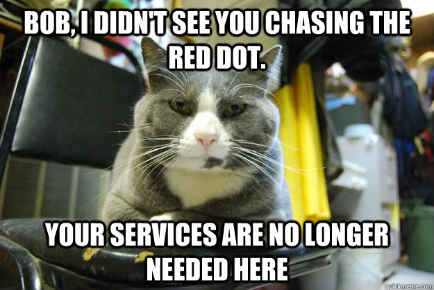Bob, I didn't see you chasing the red dot.  Your services are no longer needed here - Bob, I didn't see you chasing the red dot.  Your services are no longer needed here  Serious Business Cat