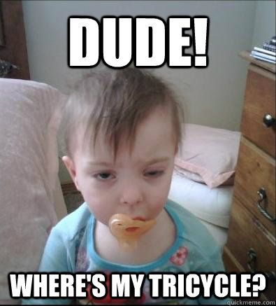 Dude! Where's my tricycle?  Party Toddler