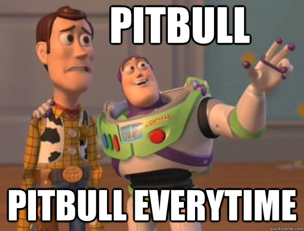 PITBULL PITBULL EVERYTIME  Pinks everywhere