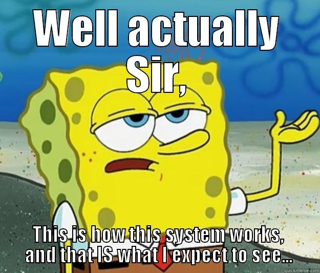 WELL ACTUALLY SIR, THIS IS HOW THIS SYSTEM WORKS, AND THAT IS WHAT I EXPECT TO SEE... Tough Spongebob