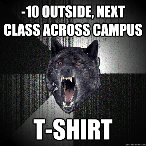 -10 outside, next class across campus t-shirt  Insanity Wolf
