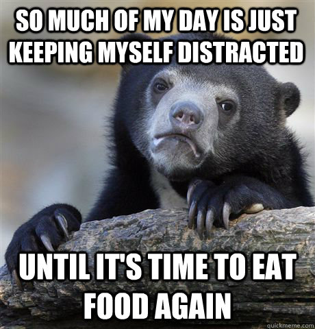 so much of my day is just keeping myself distracted  until it's time to eat food again  Confession Bear