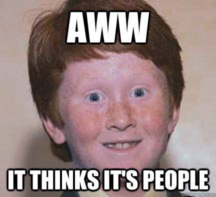 Aww It thinks it's people  Over Confident Ginger