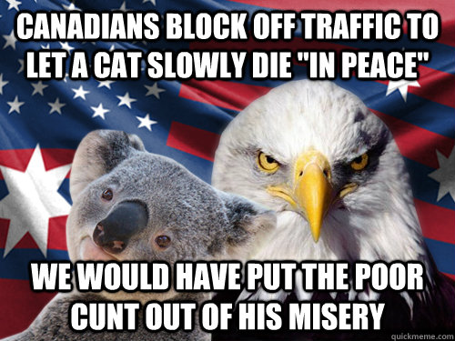 Canadians block off traffic to let a cat slowly die 