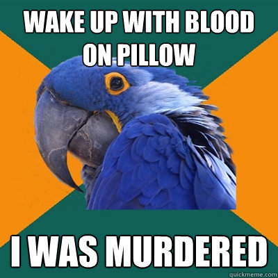 Wake up with blood on pillow i was murdered  Paranoid Parrot