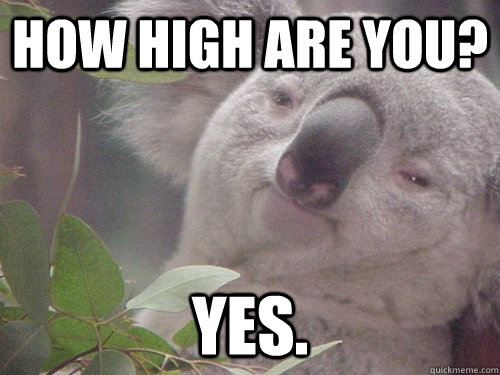 How high are you? Yes.  