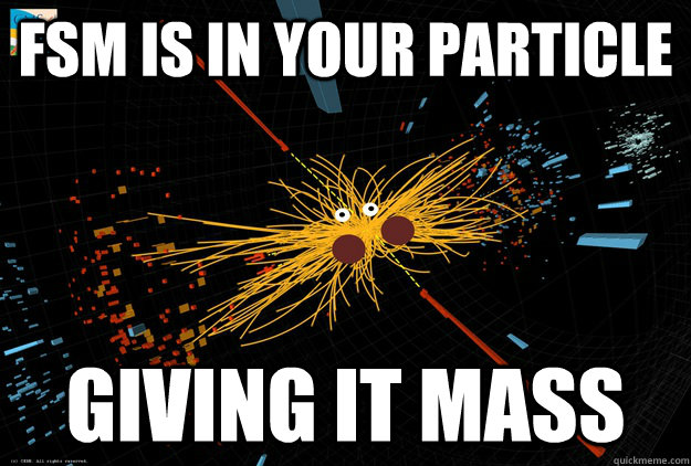 fsm is in your particle giving it mass  higgs  boson fsm
