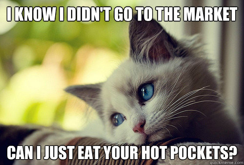 I know i didn't go to the market can i just eat your hot pockets?   First World Problems Cat