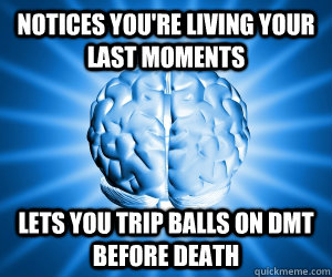notices you're living your last moments lets you trip balls on DMT before death  Good Guy Brain