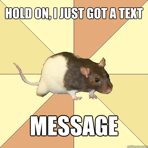 hold on, i just got a text message  Redundant Rat