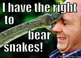 The right to bear snakes - I HAVE THE RIGHT TO                             BEAR SNAKES!                Misc