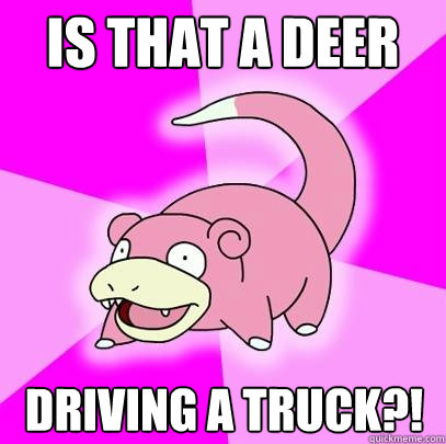 Is that a deer  Driving a truck?!  Slowpoke