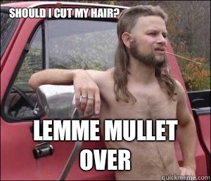 Should I cut my hair? Lemme mullet over  
