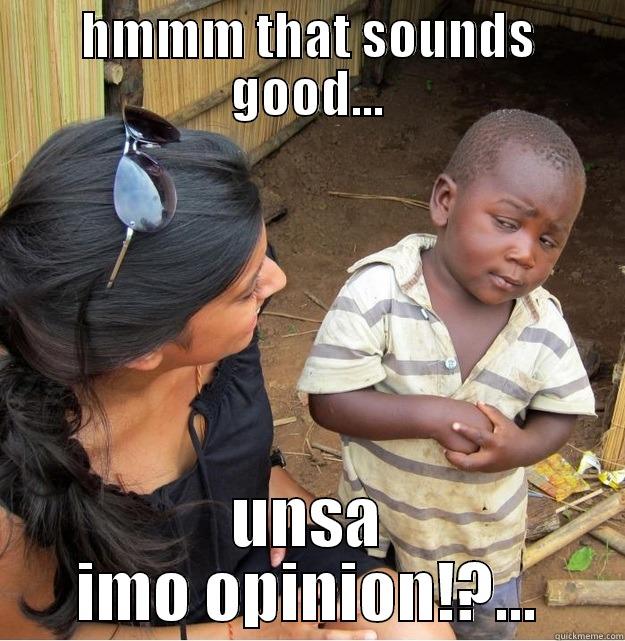 HMMM THAT SOUNDS GOOD... UNSA IMO OPINION!?... Skeptical Third World Kid